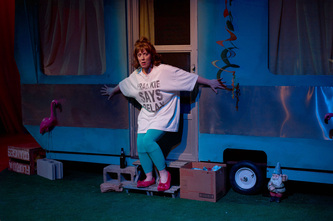 The Great American Trailer Park Musical thumbnail